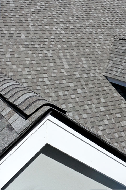 Shingle Roof Replacement and Repair Companies near me